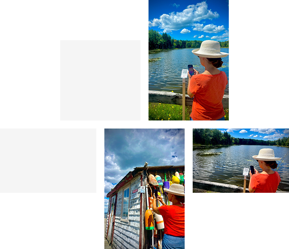 QRdept features preview